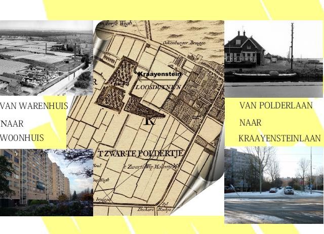 Kraayenstein in Loosduins Museum tentoonstelling